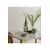 Kozarec za vodo PILASTRO, set 6 kosov, 240 ml, Stelton