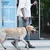 Dogness Povodac za pse, XL, Crni