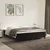 Vidaxl Box spring postelja z vzmetnico črna 160x200 cm žamet