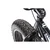 CAPRIOLO Fat Boy 20