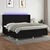 Vidaxl Box spring postelja z vzmetnico LED črna 200x200 cm blago
