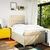 vidaXL vidaXL Box spring postelja z vzmetnico krem 120x190 cm blago, (21307563)
