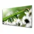 tulup.si Slika na steklu Grass nature dew drops 140x70 cm 2 obešalnika