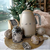 SMEG grelnik vode KLF03CHMEU