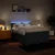 vidaXL vidaXL Box spring postelja z vzmetnico modra 160x200 cm blago, (21307422)