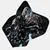 ALCHEMY/Dart Flights/NO2/Black Lightning Skull/pikado perice