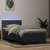 Vidaxl Box spring postelja z vzmetnico LED Temno siva 80x220 cm Velvet
