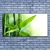 tulup.si Slika na platnu Bamboo leaf narava rastlin 125x50 cm