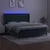 Vidaxl Box spring postelja z vzmetnico LED tem. zelena 180x200cm žamet