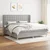 shumee Box spring postelja z vzmetnico svetlo siva 200x200 cm blago