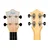 FLIGHT ukulele TUS25 BUS SOPRANO
