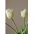 Botané umetni šopek dekorativni 47 x 18 cm