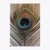 Royal Feather – stenska slika – 65 x 92,5 cm