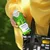 LANGLUR Smuti od voća i povrća, zelena/dodat vitamin C, 330 ml