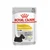 Royal Canin DERMACOMFORT CARE DOG, vlažna hrana za pse 12x85g
