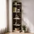 Hanah Home polica za knjige Aura, 37,8 cm, travertin / orah