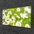tulup.si Slika na platnu Daisy flower rastlin 100x50 cm