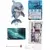 CRYSTAL ART Diamantna slika Ocean: delfin