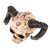 Dekoracija (lobanja) Devilsskull With Rams Horns - 766-010