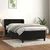 Vidaxl Box spring postelja z vzmetnico črn 90x190 cm žamet