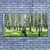 tulup.si Slika na platnu Forest grass nature rastlin 125x50 cm