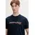 Tommy Jeans Majica DM0DM22548 Mornarsko modra Regular Fit