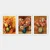 Wallity Set uramljenih slika 3BC_UN3965912, 3 dijela