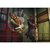 UBISOFT igra Assassins Creed Chronicles (XBOX One)