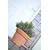 Prosperplast Saksija Decora E57, Terakota