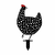 WALLXPERT Chickens