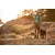 Ruffwear Front Range oprsnica, Coastal Mountains - M