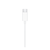 Originalne Slušalke Apple EarPods (MTJY3ZM/A) White