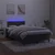 Vidaxl Box spring postelja z vzmetnico LED črna 120x190 cm žamet