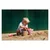 Ecoiffier vedro set Jagoda, dim: 18 x 18 x 29,5 cm