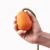 Beco Slinger Pebble Toy za pse oranžna 49cm