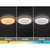 Rabalux 71447 - LED prigušiva stropna svetiljka DANNY 2 LED/60W/230V 3000-6500K prečnik 58 cm + daljinski upravljač