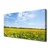 tulup.si Slika na platnu Dandelion travnik 140x70 cm