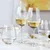 Set of 6 white wine glasses, made from crystalline glass, 530 ml, DIV