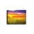 Wallity Slika Kanvas Tablo-20, 50x70 cm