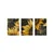 WALLXPERT Dekorativna uramljena MDF slika (3 komada) Mp3 00105 40 x 50