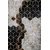 CONCEPTUM HYPNOSE Tepih staza (80x150) Hmnt773