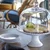 COSTA NOVA Stekleni pokrov Glass Domes, 206 mm, premer: 250 mm