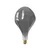 Calex Organic Evo LED svetilka E27 6W dim titanium