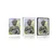 Plakat s paspartujem jin in jang Buda - 60x90 black