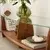 Hanah Home TV Komoda Surf, 160x45x35 cm, Kesten-Providna