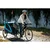 Thule prikolica za bicikl Coaster XT 2 Basil green