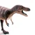 Safari Nanotyrannus dinozaver Dino Dana