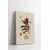 Wallity slika 3Cnvs13, 30x40 cm, 3 dijela