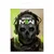 GAYA CALL OF DUTY MWII CANVAS POSTER (GHOST)