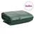 Vidaxl Ponjava zelena 6x8 m 650 g/m2
